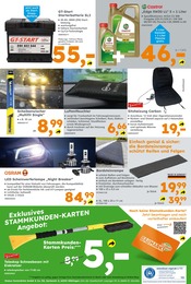 Pflanzen im Globus-Baumarkt Prospekt in Wolfenbüttel Aktueller Globus-Baumarkt Prospekt mit Pflanzen, "Immer eine Idee besser", Seite 14