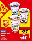 Der Große Bauer Joghurt von Bauer im aktuellen Lidl Prospekt für 0,44 €