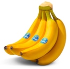Penny Senftenberg - Bananen Angebot im Prospekt Bananen bei Penny im Senftenberg Prospekt für 2,29 €