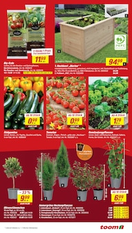 Tomaten im toom Baumarkt Prospekt "Respekt, wer's selber macht." mit 14 Seiten (Heidelberg)