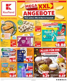 Aktueller Kaufland Prospekt für Papenburg mit  Seiten