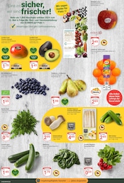 Mango im GLOBUS Prospekt in Chemnitz Aktueller GLOBUS Prospekt mit Mango, "Aktuelle Angebote", Seite 6