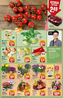 Tomaten im aktuellen REWE Prospekt (Mönchengladbach) Tomaten im REWE Prospekt "Dein Markt" mit 32 Seiten (Mönchengladbach)