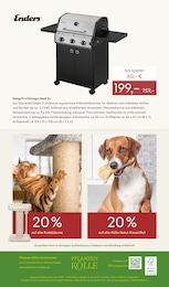 Pflanzen Kölle Grill im Prospekt 