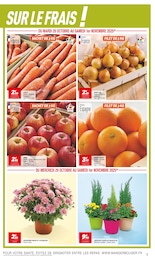 Prix et réduction Fleurs dans le prospectus Netto en cours Offre Fleurs dans le catalogue Netto du moment à la page 5