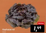 Aktuelles Kopfsalat rot Angebot bei Konsum in Dresden ab 1,49 €