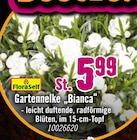 Hornbach Niestetal Prospekt mit  im Angebot für 5,99 €