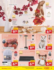 Teppich im Netto Marken-Discount Prospekt "Aktuelle Angebote" mit 60 Seiten (Mainz)
