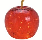 Aktuelle Äpfel Angebote bei Wreesmann in Bremerhaven Aktuelles Beleuchteter Deko-Glas-Apfel Angebot bei Wreesmann in Bremerhaven ab 2,99 €