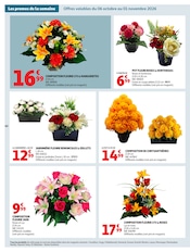Promos Chrysanthèmes dans le catalogue "LE GOÛT DU RÉCONFORT" de Auchan Hypermarché Chrysanthèmes en promo dans le catalogue Auchan Hypermarché à la page 40