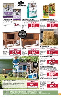 Mais im Dehner Garten-Center Prospekt "Aktuelle Angebote" mit 18 Seiten (Bonn)