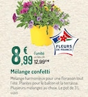 Mélange confetti - Botanic à Clermont-Ferrand Mélange confetti en promo chez Botanic Clermont-Ferrand à 8,99 €