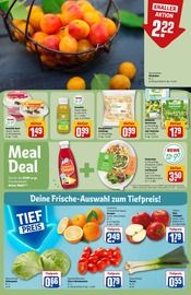 Tomaten im REWE Prospekt in Ettlingen Aktueller REWE Prospekt mit Tomaten, "Dein Markt", Seite 6