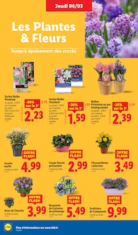 Promo Jardinière De Fleurs dans le catalogue Lidl du moment à la page 28