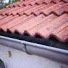 Dachrinnenraupe bei Carl Bremer GmbH & Co. KG im Eutin Prospekt für 4,99 €