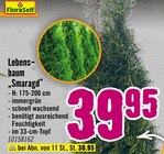 Hornbach Möglingen Prospekt mit  im Angebot für 39,95 €