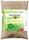 Nachsaatrasen Angebote von Grüner Jan bei Thomas Philipps Elmshorn für 1,99 €