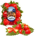 Erdbeeren Angebote von San Lucar bei REWE Bocholt für 2,99 €