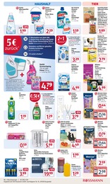 Katzenfutter Angebot im aktuellen Rossmann Prospekt auf Seite 17