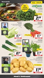 Aktueller EDEKA Prospekt mit Kartoffeln, "Aktuelle Angebote", Seite 4
