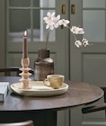Aktuelles CONRAD Kerzenständer Angebot bei JYSK in Mönchengladbach ab 3,00 €