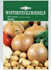 Thomas Philipps Bad Hersfeld - Wintersteckzwiebeln Presto Angebot im Prospekt Wintersteckzwiebeln Presto bei Thomas Philipps im Bad Hersfeld Prospekt für 1,29 €