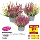 Knospenheide „Gardengirls“ im Angebot bei toom Baumarkt in Lörrach Knospenheide „Gardengirls“ Angebote von Garden Girls bei toom Baumarkt Lörrach für 1,99 €