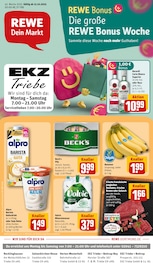 Zucker im REWE Prospekt in Bottrop Aktueller REWE Prospekt mit Zucker, "Dein Markt", Seite 1