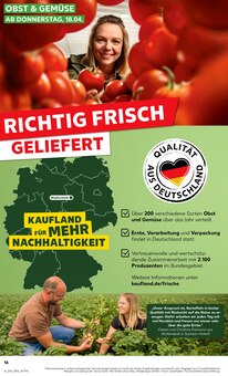 Kartoffeln im Kaufland Prospekt "Aktuelle Angebote" mit 52 Seiten (Berlin)
