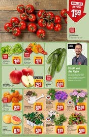 Paprika im REWE Prospekt in Bad Homburg Aktueller REWE Prospekt mit Paprika, "Dein Markt", Seite 9