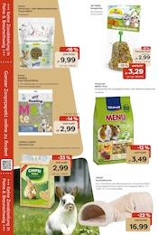 Teppich im Garten-Center Nordharz GmbH & Co. KG Prospekt in Wolfenbüttel Aktueller Garten-Center Nordharz GmbH & Co. KG Prospekt mit Teppich, "HO HO HO", Seite 12