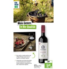 Wein im aktuellen Marktkauf Prospekt (Stuttgart) Wein im Marktkauf Prospekt "Aktuelle Angebote" mit 81 Seiten (Stuttgart)