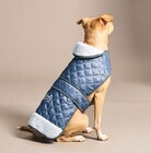 Hundesteppjacke im Angebot bei Woolworth in Nettetal Hundesteppjacke Angebote bei Woolworth Nettetal für 6,00 €
