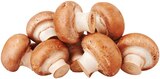 Braune Bio Champignons im Angebot bei REWE in Waiblingen Braune Bio Champignons Angebote von REWE Bio bei REWE Waiblingen für 1,79 €