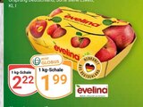 Evelina im Angebot bei GLOBUS in Ludwigshafen Evelina Angebote bei GLOBUS Ludwigshafen für 1,99 €