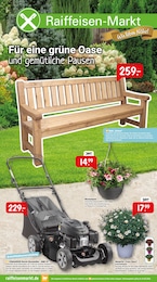 Raiffeisenmarkt Prospekt für Horn-Bad Meinberg mit 4 Seiten