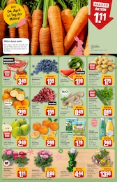 Gartenbepflanzung im REWE Prospekt "Dein Markt" auf Seite 10