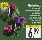 Deko im EDEKA Prospekt Herbstmix im aktuellen EDEKA Prospekt für 6,99 €