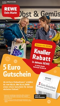 Aktueller REWE Prospekt für Brakel mit  Seiten