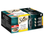 Aktuelle Katzenfutter Angebote bei Penny in Kiel Aktuelles Fresh & Fine Angebot bei Penny in Kiel ab 15,99 €