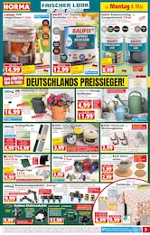 Pflanzen im Norma Prospekt Mehr fürs Geld auf S. 3