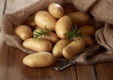 Speisekartoffeln »Die Feinen« im Angebot bei REWE in Mainz Speisekartoffeln »Die Feinen« Angebote von REWE Beste Wahl bei REWE Mainz für 1,79 €