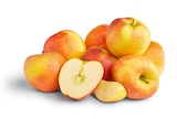 Aktuelle Äpfel Angebote bei Penny in Mainz Aktuelles Deutsche rote Äpfel Angebot bei Penny in Mainz ab 2,29 €
