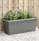 Jardinière en promo chez Gifi Quimper à 3,95 €