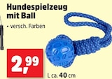 Hundespielzeug mit Ball im aktuellen Thomas Philipps Prospekt