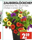 Wreesmann Mügeln - Zauberglöckchen Angebot im Prospekt Zauberglöckchen bei Wreesmann im Mügeln Prospekt für 2,59 €