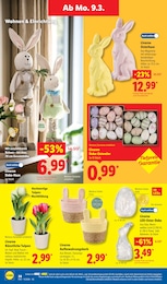 Lidl Korb im Prospekt 