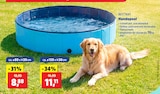 Hundepool von Bestway im aktuellen Thomas Philipps Prospekt