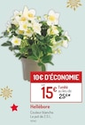 Promo Hellébore à 15,00 € dans le catalogue Botanic à Mouans-Sartoux