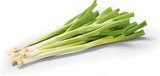 Netto Marken-Discount Papenburg - Lauchzwiebeln Angebot im Prospekt Lauchzwiebeln bei Netto Marken-Discount im Papenburg Prospekt für 0,69 €
